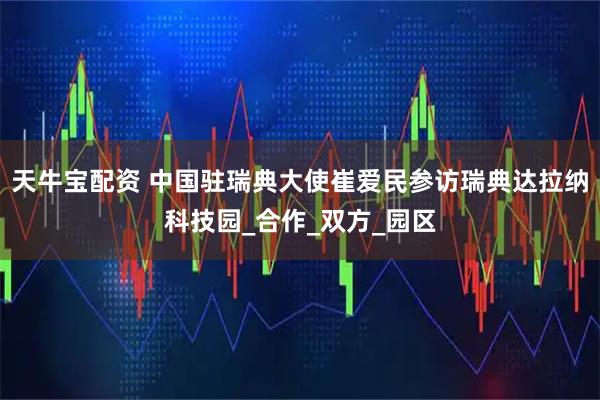 天牛宝配资 中国驻瑞典大使崔爱民参访瑞典达拉纳科技园_合作_双方_园区